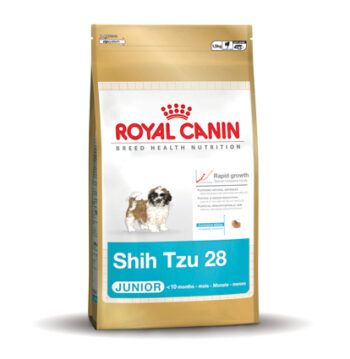Shih Tzu 28 Junior