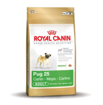 Pug (mopshond) 25 Adult