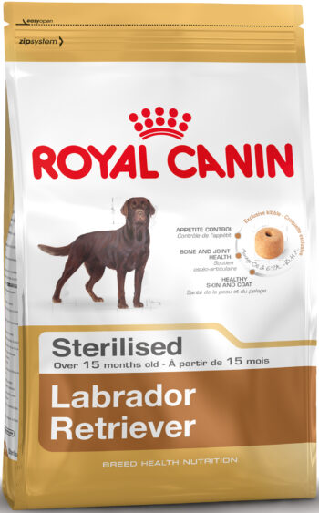 Labrador Retriever Sterilised