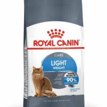 Light 40 Kat