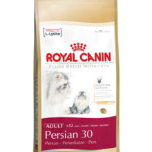 Persian 30