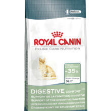 Digestive Comfort 38