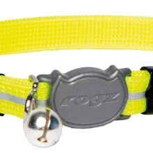 AlleyCat Halsband Small Dayglo