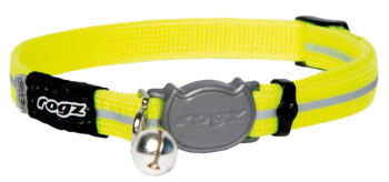 AlleyCat Halsband Small Dayglo