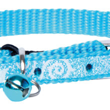 Sparklecat Turquoise