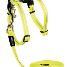 AlleyCat Tuig+Lijn Dayglo