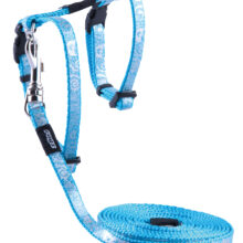 Sparklecat Tuig+Lijn Turquoise