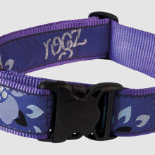 Spec.Agent Halsb. Purple Forest