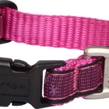 Fly Halsband Pink Love