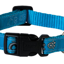 Scooter Halsband Turq Paw