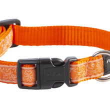Scooter Halsband Orange Doodle-Orange