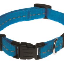 Utility Halsband XS Turquoise
