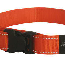 Utility Halsband XXL orang