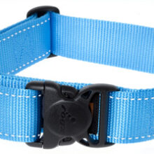Utility Halsband XXL Turquoise