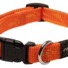 Matterhorn Halsband orange