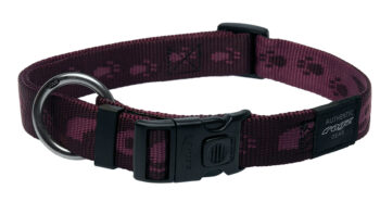 Everest Halsband Purple