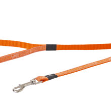 Jelly Lijn Orange Doodle-Orange