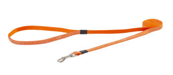 Jelly Lijn Orange Doodle-Orange
