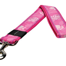Special Agent Pink Paw