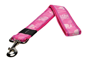 Special Agent Pink Paw