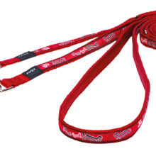 Jelly Lijn Multi Red Rogz Bone