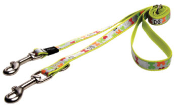 Lapz Trendy Lijn Multi Multi Bones M