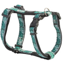 Jelly Tuigje Mint Dog-Black