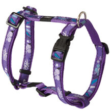 Scooter Tuigje Purple Forest