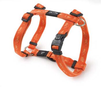 K 2 Tuigje orange