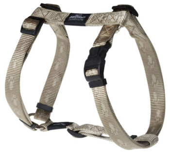 K 2 Tuigje Gold