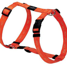 Everest Tuigje Orange