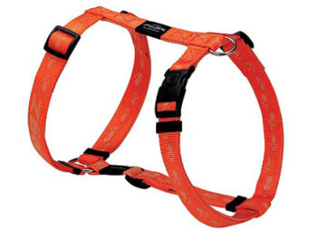 Everest Tuigje Orange