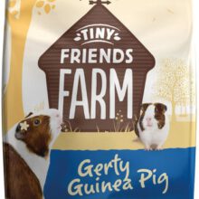 Gerty Guinea Pig