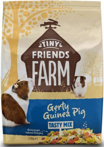 Gerty Guinea Pig