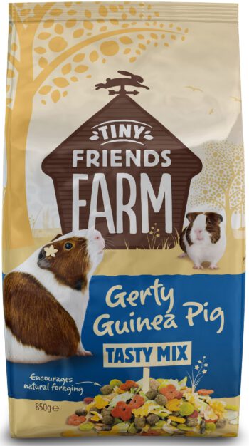 Gerty Guinea Pig