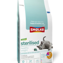 Smolke Kat Sterilised