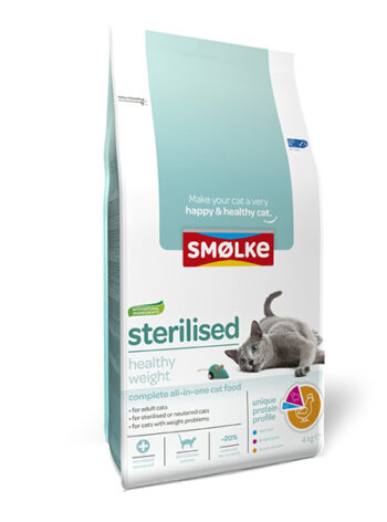 Smolke Kat Sterilised