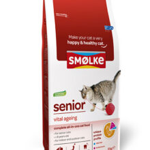 Smolke Kat Senior