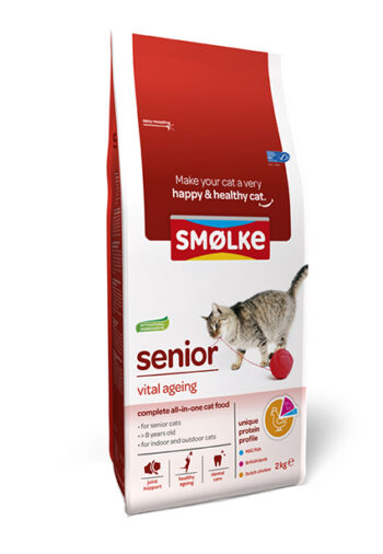 Smolke Kat Senior
