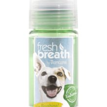 Fresh Breath OralCare Foam