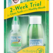 Fresh Breath Dental Trial Kit