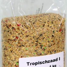 Tropischzaad I