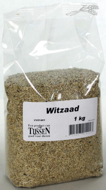 Witzaad