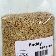 Paddy