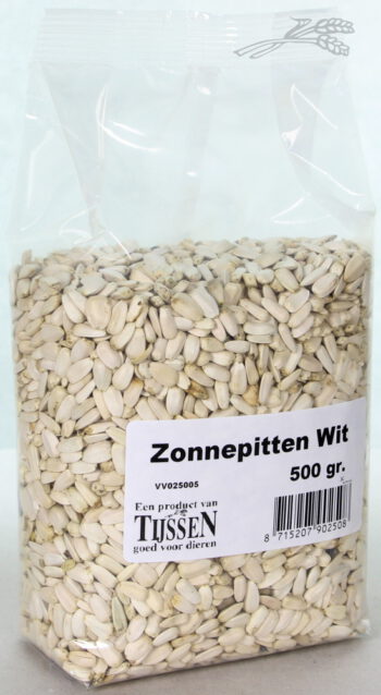 Zonnepitten Wit