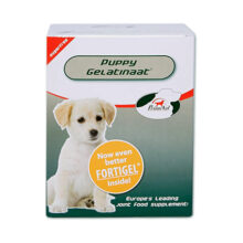 Primeval Hond Puppy Gelatinaat