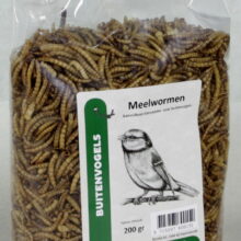 Meelwormen