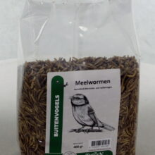 Meelwormen