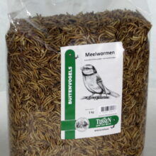 Meelwormen