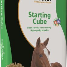 EquiFirst Starting Cube
